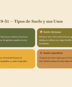 Diapositiva54