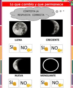 Una hoja de ejercicios educativos en español muestra cuatro fases lunares -llena, creciente, nueva y menguante- con fotos y casillas para responder 