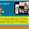 Diapositiva7 28