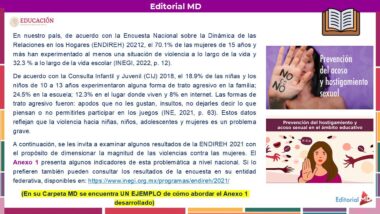Captura de pantalla de un boletín en español que analiza las estadísticas sobre violencia juvenil de la ENDIH 2021 y la CIJ 2018, con un recuadro sobre la prevención del acoso sexual y una nota resaltada sobre un ejemplo en una carpeta.