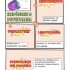 Diapositiva7 7