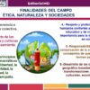 Diapositiva8 19