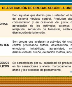 Una infografía titulada 