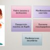 Proyecto “Nos informamos para prevenir ¡El Sarampión!” PRIMARIA NEM (2026-2027) 52 Vista previa 17 de Proyecto “Nos informamos para prevenir ¡El Sarampión!” PRIMARIA NEM (2026-2027)