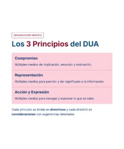 Diseno Universal para el Aprendizaje DUA 30 Pagina 07