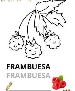 Libro de frutas para colorear 8 Documento A4 Libro para Colorear Verano Playa Infantil Blanco y Negro 20260223 195138 0000
