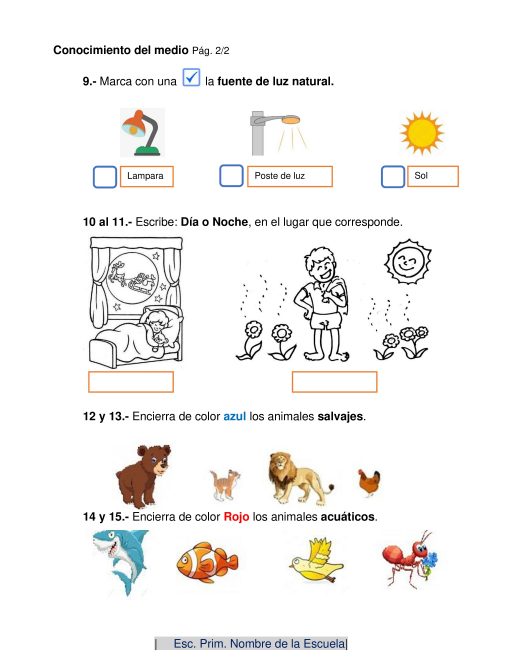 An Evaluación Diagnóstica Primero de Primaria 2021-2022, que incluye cuatro secciones sobre fuentes de luz, actividades diurnas y nocturnas, clasificación de animales por color y una pauta de escritura, todo ilustrado con dibujos sencillos.