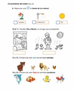 An Evaluación Diagnóstica Primero de Primaria 2021-2022, que incluye cuatro secciones sobre fuentes de luz, actividades diurnas y nocturnas, clasificación de animales por color y una pauta de escritura, todo ilustrado con dibujos sencillos.