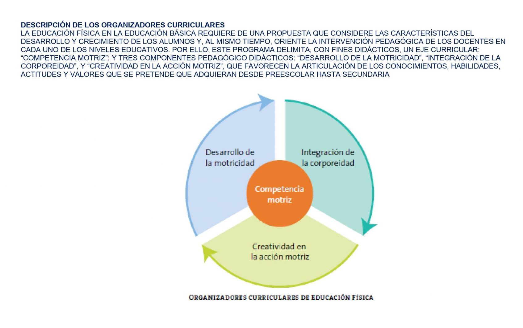 Dosificación De Física Trimestral 02