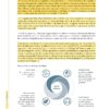 Cuadernillo CONTESTADO Integración curricular: reto para la práctica de docentes de secundaria 24 Una página del Cuadernillo CONTESTADO Integración curricular: reto para la práctica de docentes de secundaria (en español) presenta texto resaltado, viñetas y un diagrama circular