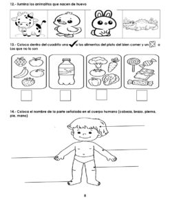 EXAMEN DE DIAGNOSTICO 2o grado 2026 2027 9