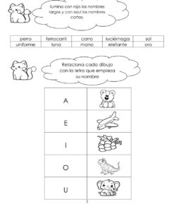 EXAMEN DE DIAGNOSTICO PRIMER GRADO 26 27 3