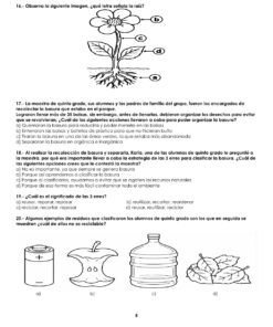 EXAMEN DE DIAGNOSTICO de cuarto grado 2026 2027 Autoguardado 9