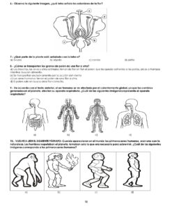 EXAMEN DE DIAGNOSTICO quinto grado 2026 2027 11