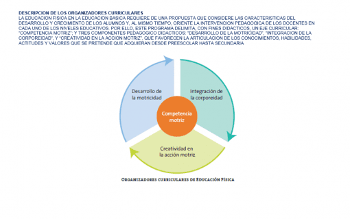 Un diagrama circular que muestra tres elementos interconectados denominados "desarrollo de habilidades motrices", "integración de la intercepción corporal" y "competencia creativa", que representan organizadores curriculares en educación física.