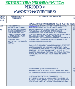 Imagen de un esquema de programa educativo estructurado titulado 