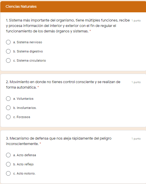 Ejemplo Exámenes en Google Forms 6to grado 04