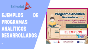 programa analitico