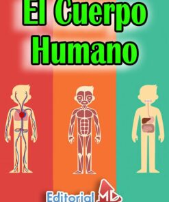 Material Educativo del Cuerpo Humano