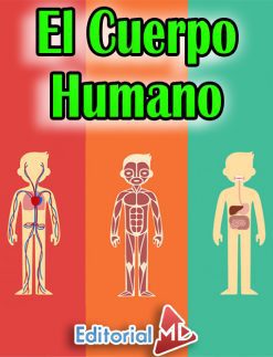 Cuerpo Humano