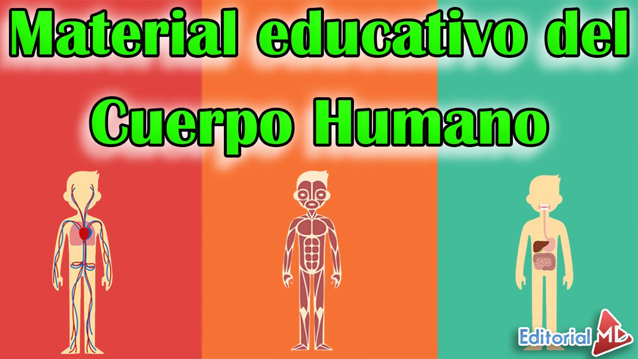 El cuerpo Humano Material educativo