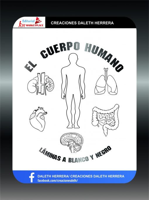 El cuerpo humano laminas sin color scaled