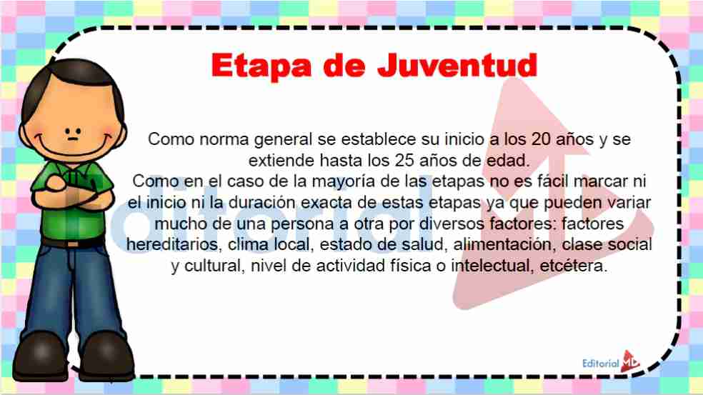 etapa-de-la-juventud