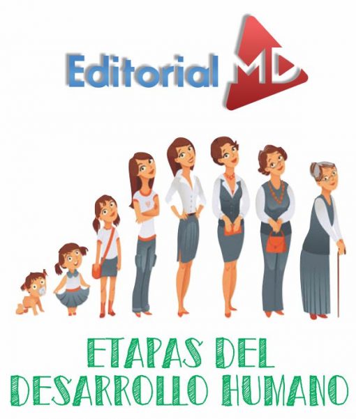 etapas del desarrollo humano