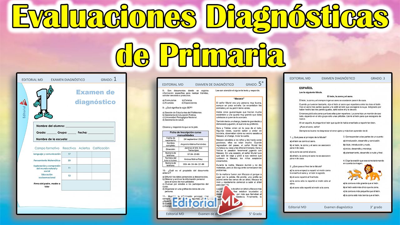 Evaluaciones Diagnósticas de Primaria