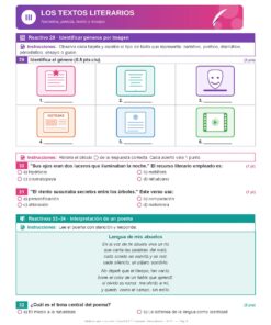 Examen Extraordinario Español Secundaria 1°, 2° y 3° Grado NEM | Word Editable 17 Examen Extraordinario Espanol 3° Secundaria NEM Pagina 08