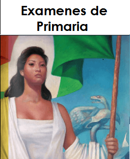 examenes de primaria examenes de primaria