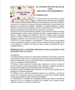 PAQUETE DE 19 FICHAS INFORMATIVAS PARA DOCENTES