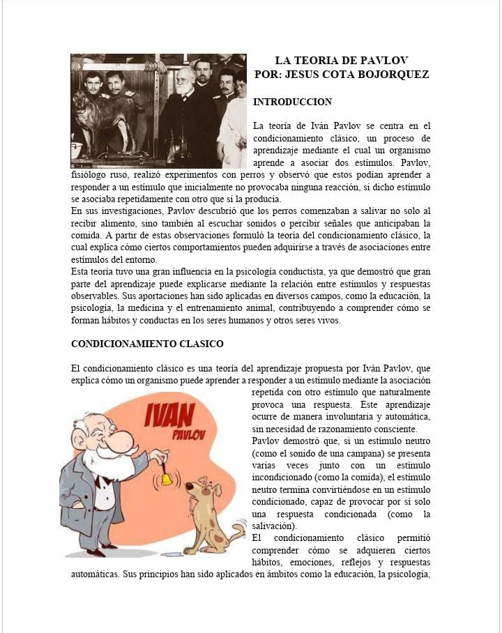 PAQUETE DE 19 FICHAS INFORMATIVAS PARA DOCENTES 5 PAQUETE DE 19 FICHAS INFORMATIVAS PARA DOCENTES - Image 5