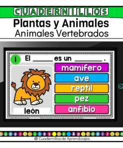 Clasifica Animales Vertebrados según Grupos Primero Segundo Grado Primaria Fichas Digitales