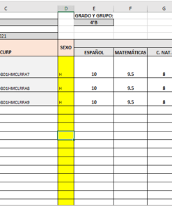 Generador De Fichas Descriptivas en Excel 01