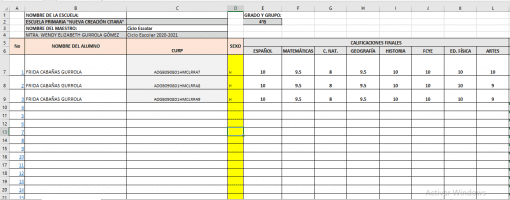 Generador De Fichas Descriptivas en Excel 01