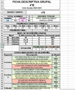 Generador De Fichas Descriptivas en Excel 02