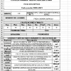 Generador De Fichas Descriptivas en Excel 03