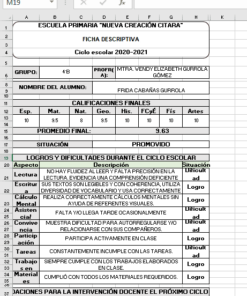 Generador De Fichas Descriptivas en Excel 03