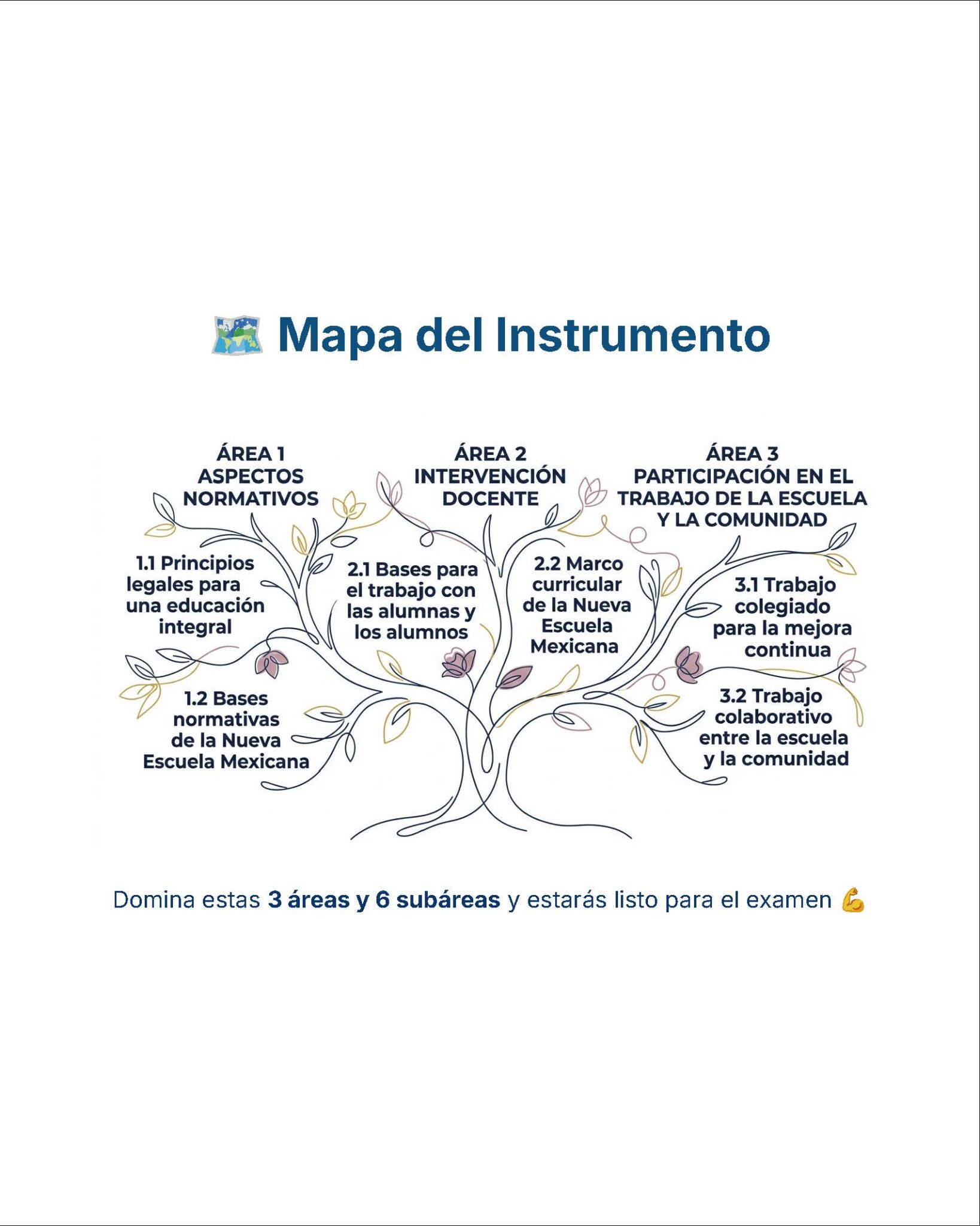 Guía de Estudio Admisión FCYE Educación Secundaria- USICAMM 2026 - 2027 + (Simulador 90 Reactivos) 7 Diagrama que muestra un árbol con tres ramas principales etiquetadas: Área 1 Aspectos Normativos, Área 2 Intervención Docente, y Área 3 Participación en el Trabajo de la Escuela y la Comunidad, cada una con dos subáreas.