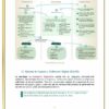 Guia Resuelta Taller Diagnostico 2023 2024 page 0013