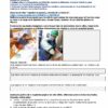 Programa Analítico Anual HISTORIA 1 Secundaria 27 Una página de un folleto educativo en español titulado