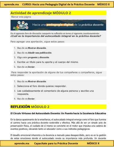 Hacia una Pedagogia Digital de la Practica Docente page 0018