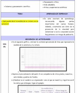Una captura de pantalla de una hoja de trabajo educativa en español para Planeación De La NEM Primer Grado (Semana 1 a la 4). La hoja de trabajo incluye campos como 