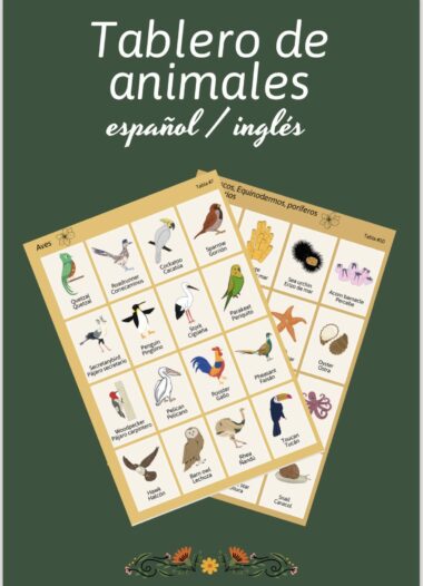 Un cuadro educativo ilustrado titulado "Tablero de animales español/inglés" que muestra aves con sus nombres tanto en español como en inglés. El gráfico tiene imágenes de varias aves como el quetzal, el cóndor, el pavo real y el flamenco. El fondo es verde oscuro.