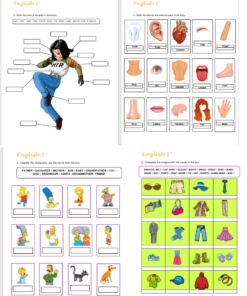 Cuatro Fichas de trabajo Inglés 1° Secundaria con imágenes etiquetadas para aprender partes del cuerpo, miembros de la familia y nombrar prendas de vestir, con diagramas coloridos e ilustraciones para una fácil identificación.