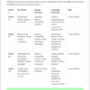 Organización de las cuatro semanas intensivas: calendario detallado con los temas, las áreas de estudio y los contenidos del programa educativo.