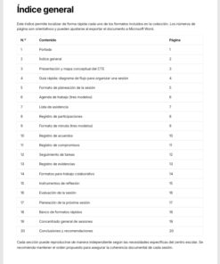 Formatos para Consejo Técnico Escolar Editables en Word | Plantillas para Organizar, Documentar y Desarrollar las Sesiones del CTE 7 Imagen 1 175