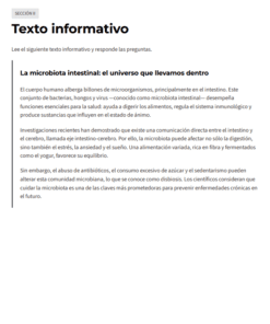 Imagen 1 21