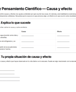 Hoja de ejercicios en español con dos actividades sobre causa y efecto. La primera actividad contiene una tabla para enumerar situaciones, causas y efectos. La segunda pide a los alumnos que escriban su propia situación de causa y efecto.